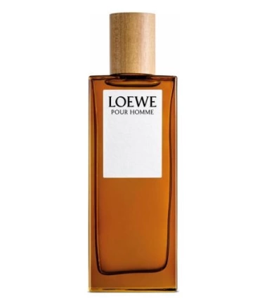 Loewe Pour Homme 100 ML Hombre EDT
