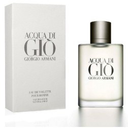 Perfume Acqua Di Gio De Giorgio Armani 100 Ml EDT